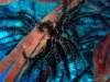 dscf6782_small.jpg