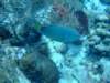 dscf6783_small.jpg