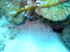 dscf6784_small.jpg