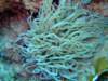 dscf6788_small.jpg