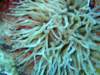dscf6789_small.jpg