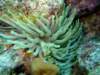 dscf6790_small.jpg
