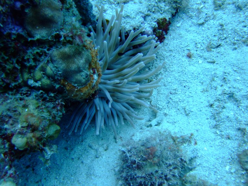 dscf6593.jpg