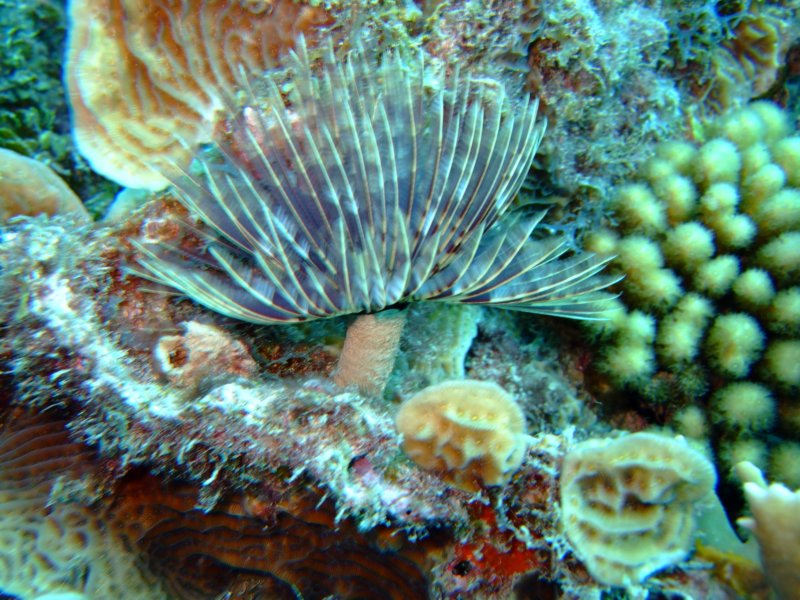 dscf6610.jpg
