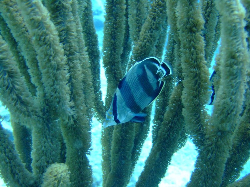 dscf6616.jpg