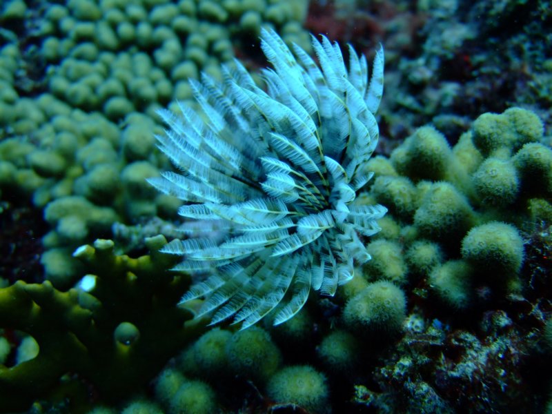 dscf6620.jpg