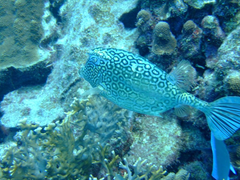 dscf6628.jpg