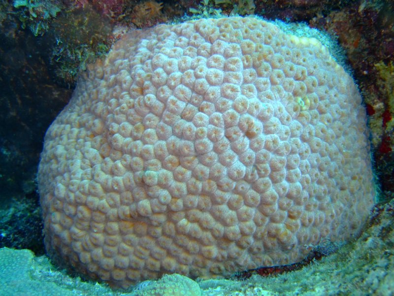 dscf6629.jpg