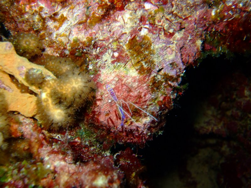 dscf6649.jpg