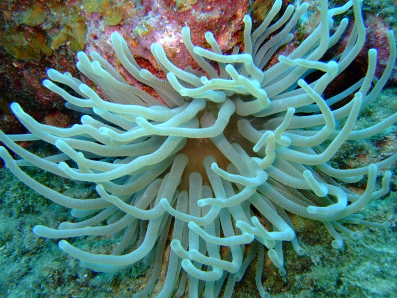 dscf6676.jpg