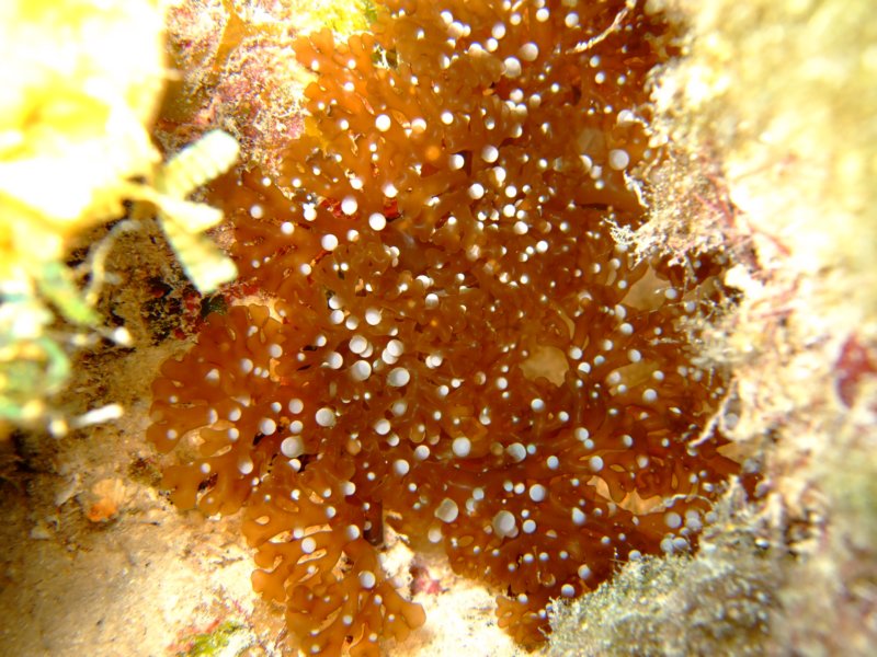dscf6683.jpg