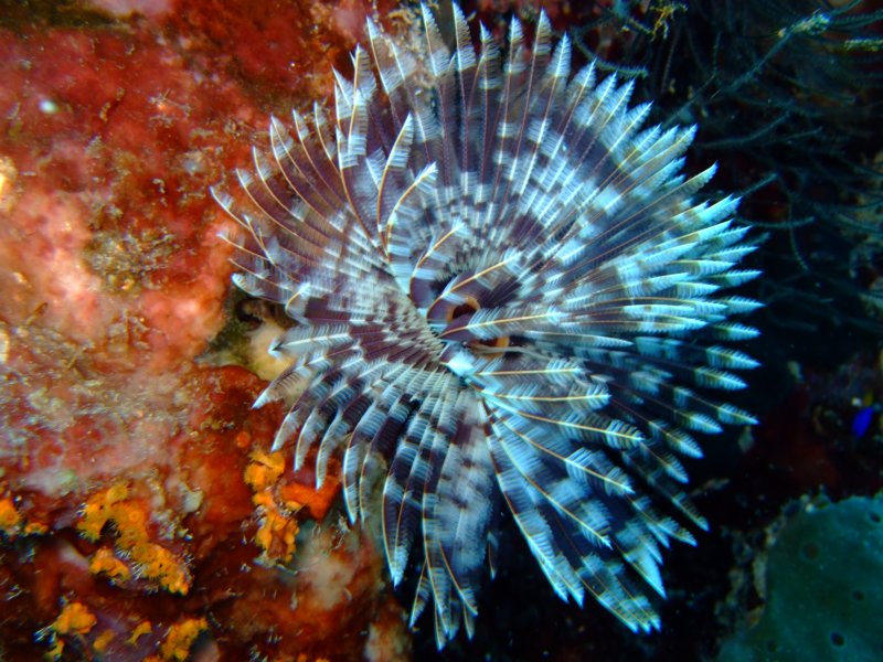 dscf6685.jpg