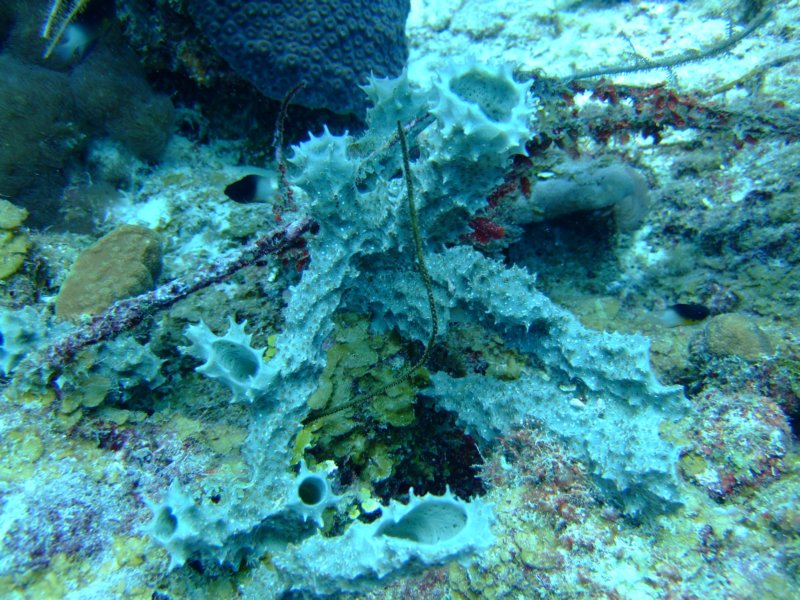 dscf6693.jpg