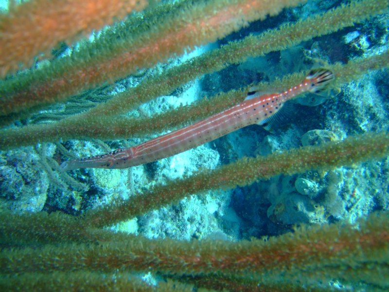 dscf6702.jpg