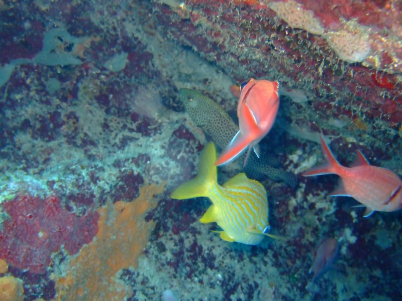 dscf6705.jpg