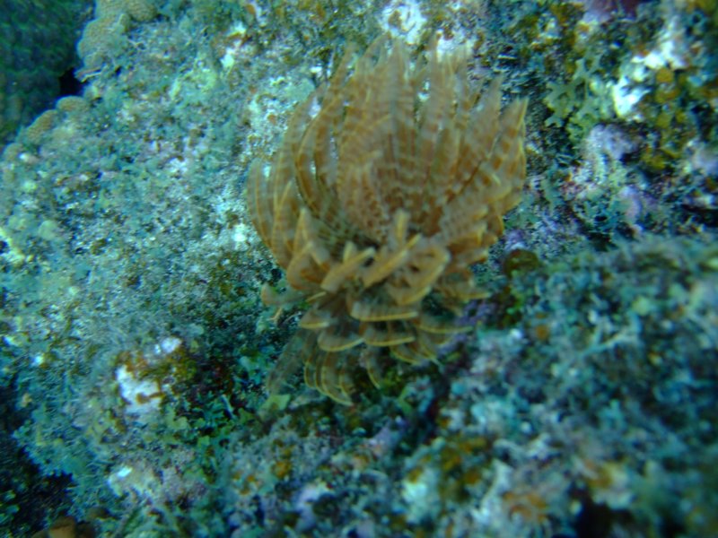dscf6711.jpg