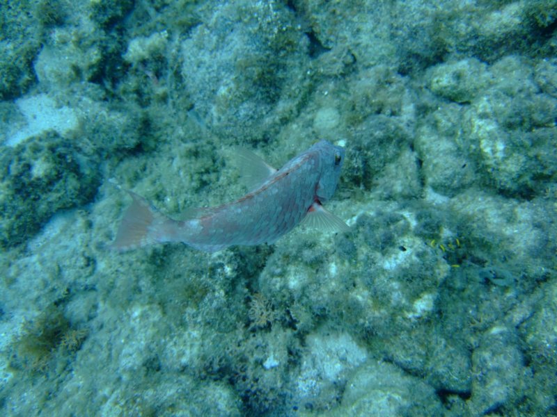 dscf6715.jpg