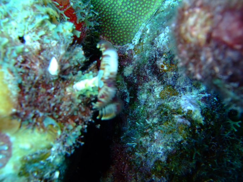 dscf6824.jpg