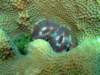 dscf6834_small.jpg