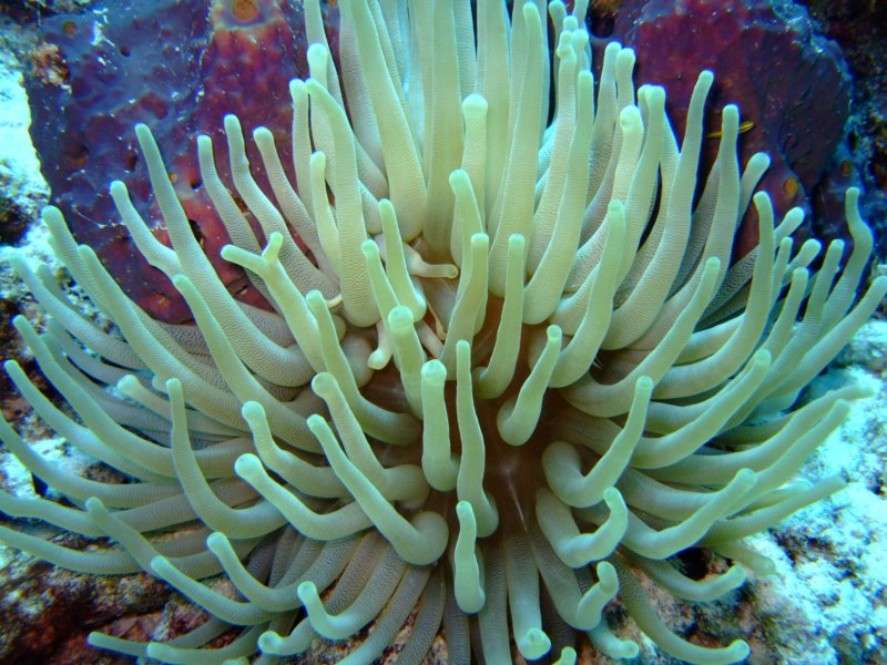 dscf6850.jpg