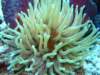 dscf6851_small.jpg