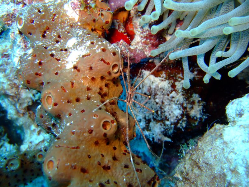 dscf6856.jpg