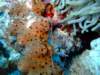 dscf6856_small.jpg