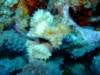 dscf6877_small.jpg