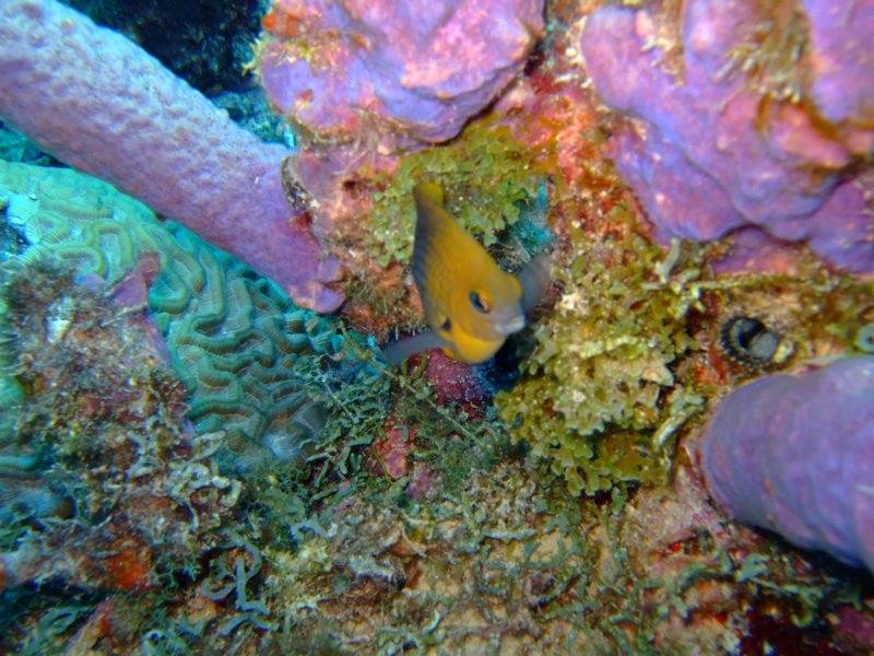 dscf6884.jpg