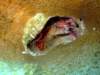 dscf6891_small.jpg