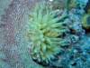 dscf6897_small.jpg