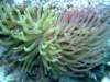 dscf6905_small.jpg