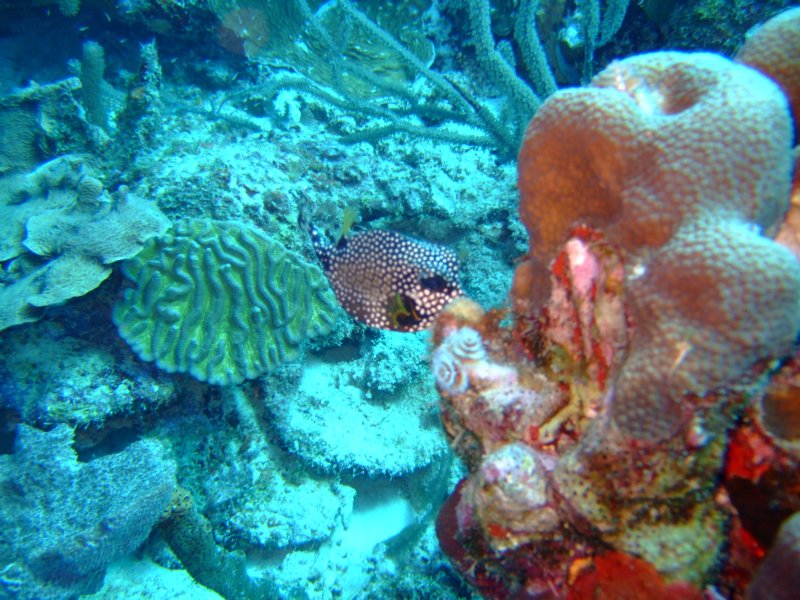 dscf6979.jpg