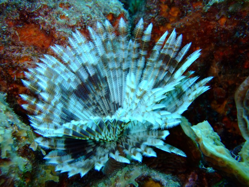 dscf7000.jpg