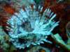 dscf7000_small.jpg