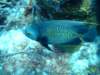 dscf7005_small.jpg