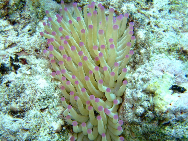 dscf7029.jpg
