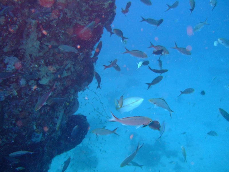 dscf7177.jpg
