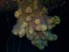 dscf7183_small.jpg