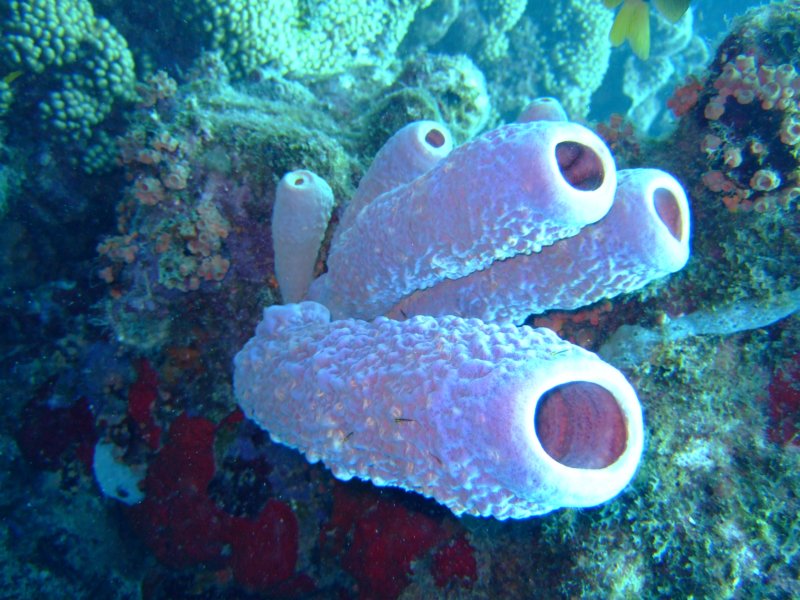 dscf7203.jpg