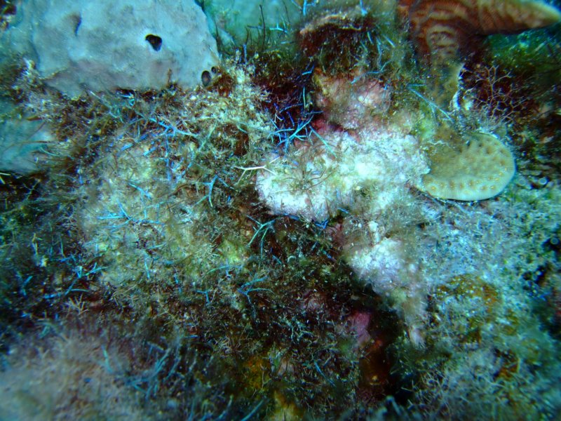 dscf7209.jpg