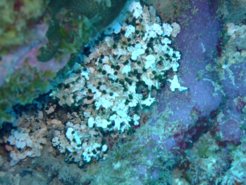 dscf7222.jpg