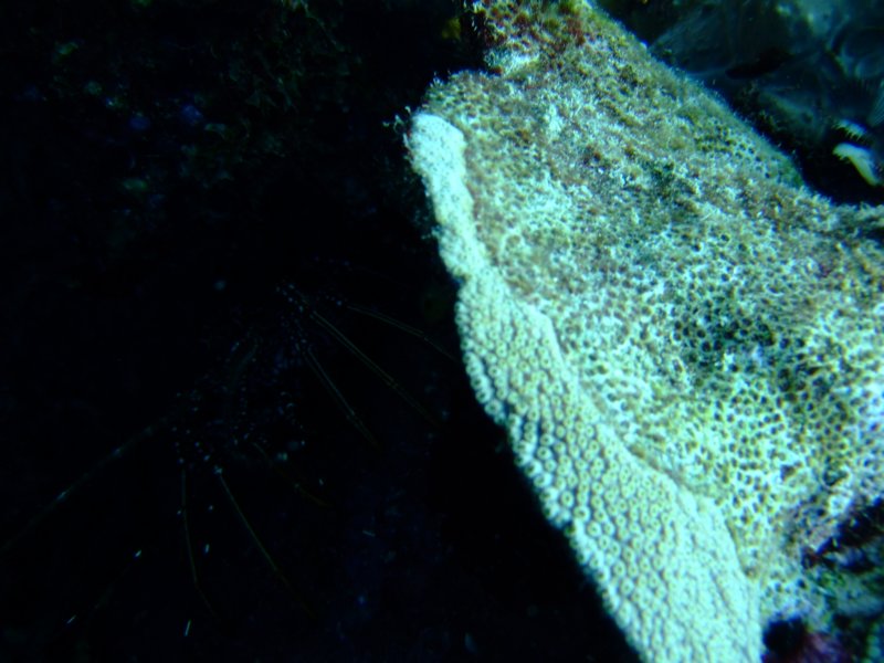 dscf7224.jpg