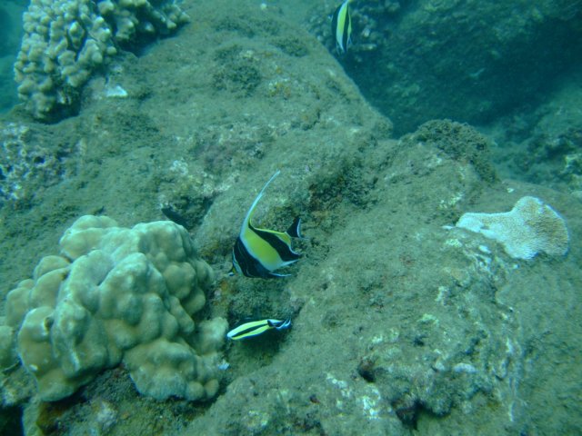 dscf4451.jpg