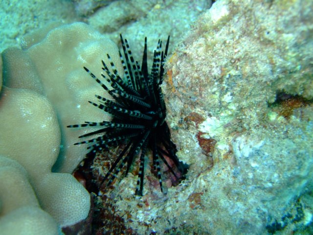dscf4481.jpg