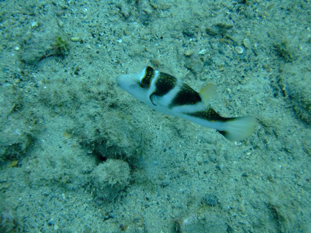 dscf4483.jpg