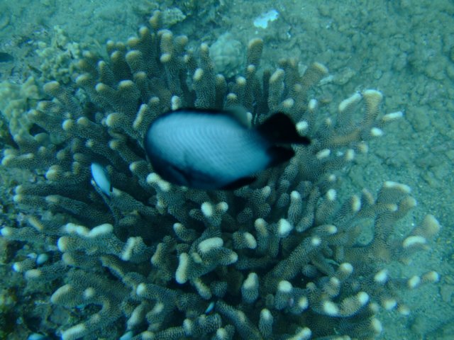dscf4486.jpg