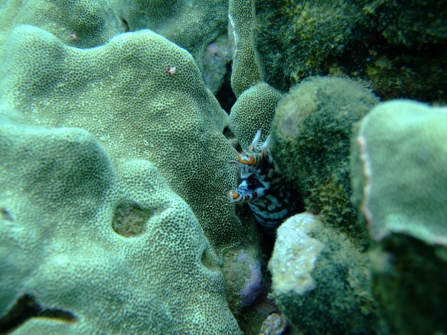 dscf4515.jpg