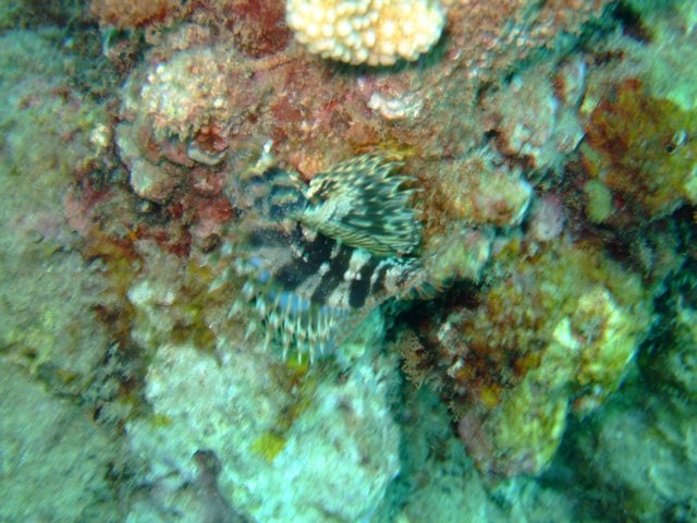 dscf4524.jpg