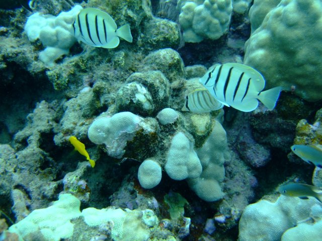 dscf4534.jpg